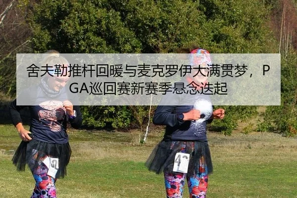 舍夫勒推杆回暖与麦克罗伊大满贯梦，PGA巡回赛新赛季悬念迭起