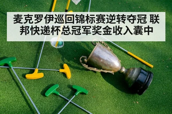 麦克罗伊巡回锦标赛逆转夺冠 联邦快递杯总冠军奖金收入囊中